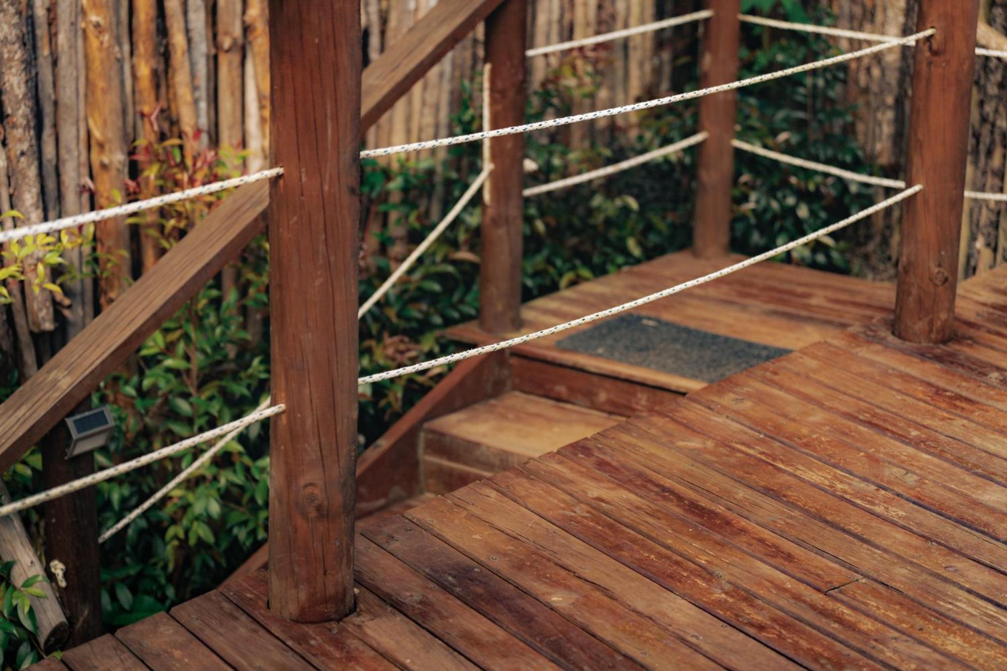 Отель Bubblesky Glamping 15 Min From Medellin Рионегро Экстерьер фото