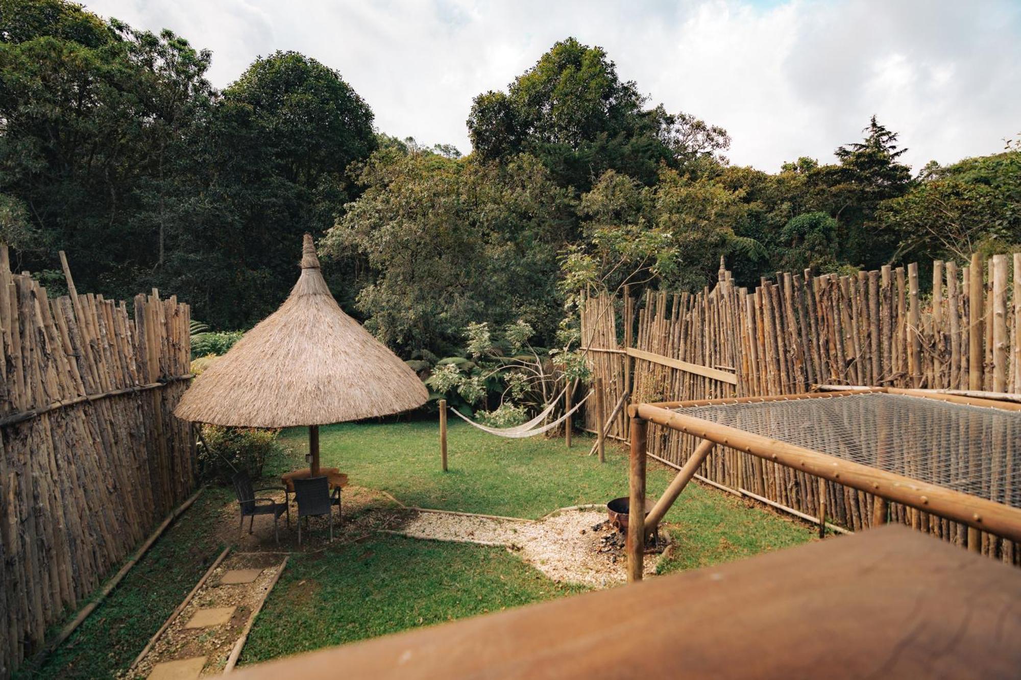 Отель Bubblesky Glamping 15 Min From Medellin Рионегро Экстерьер фото