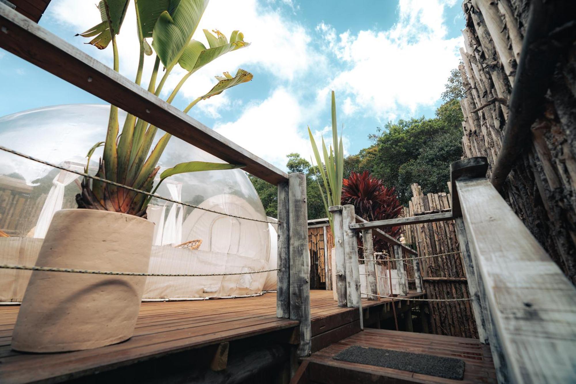 Отель Bubblesky Glamping 15 Min From Medellin Рионегро Экстерьер фото