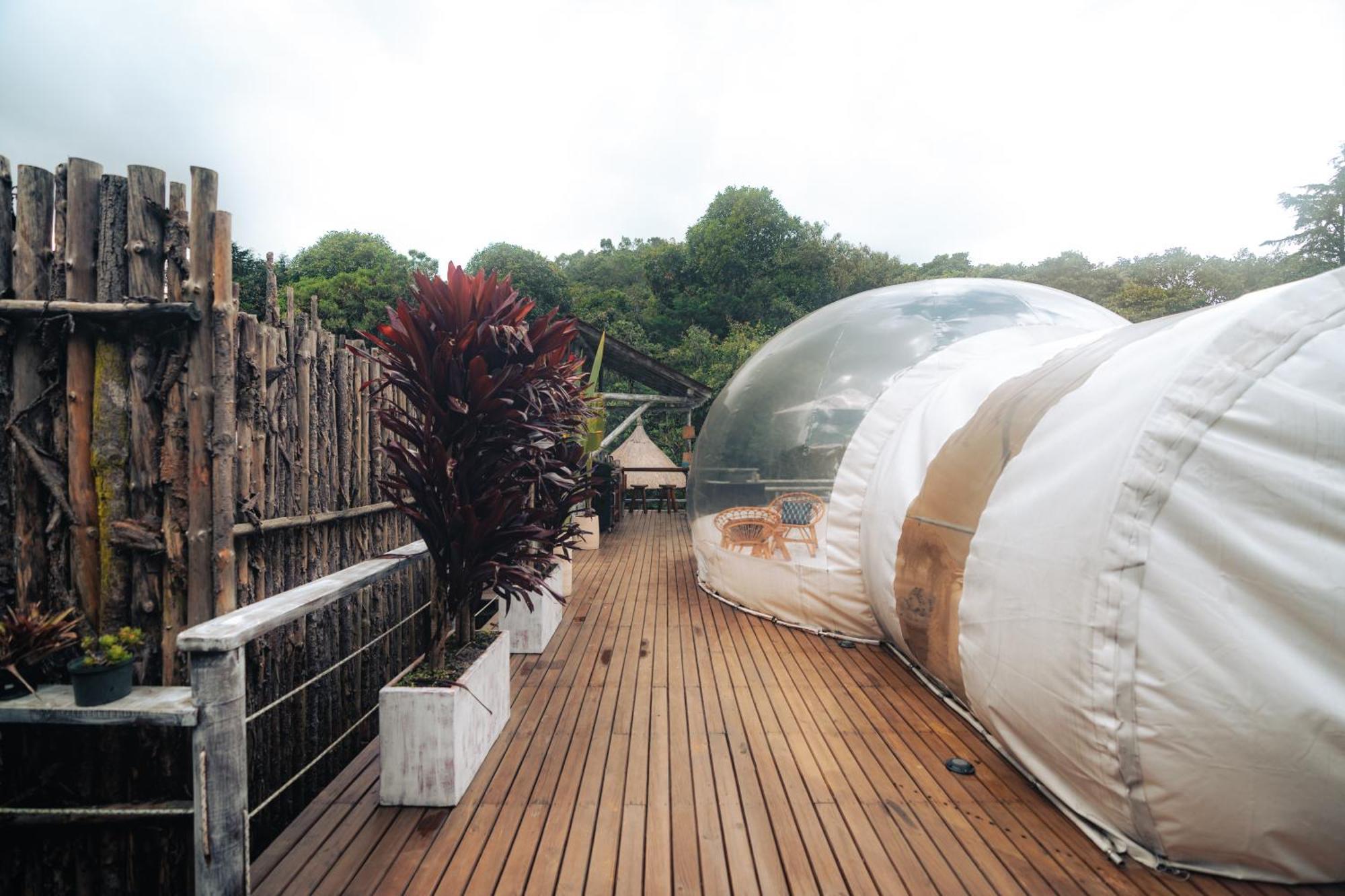 Отель Bubblesky Glamping 15 Min From Medellin Рионегро Экстерьер фото