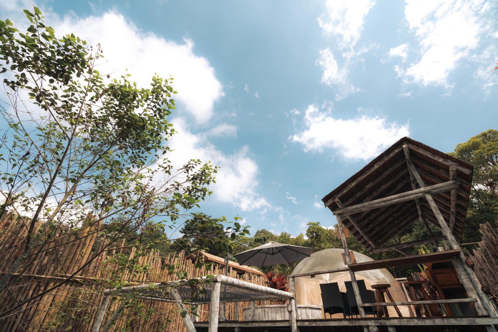 Отель Bubblesky Glamping 15 Min From Medellin Рионегро Экстерьер фото