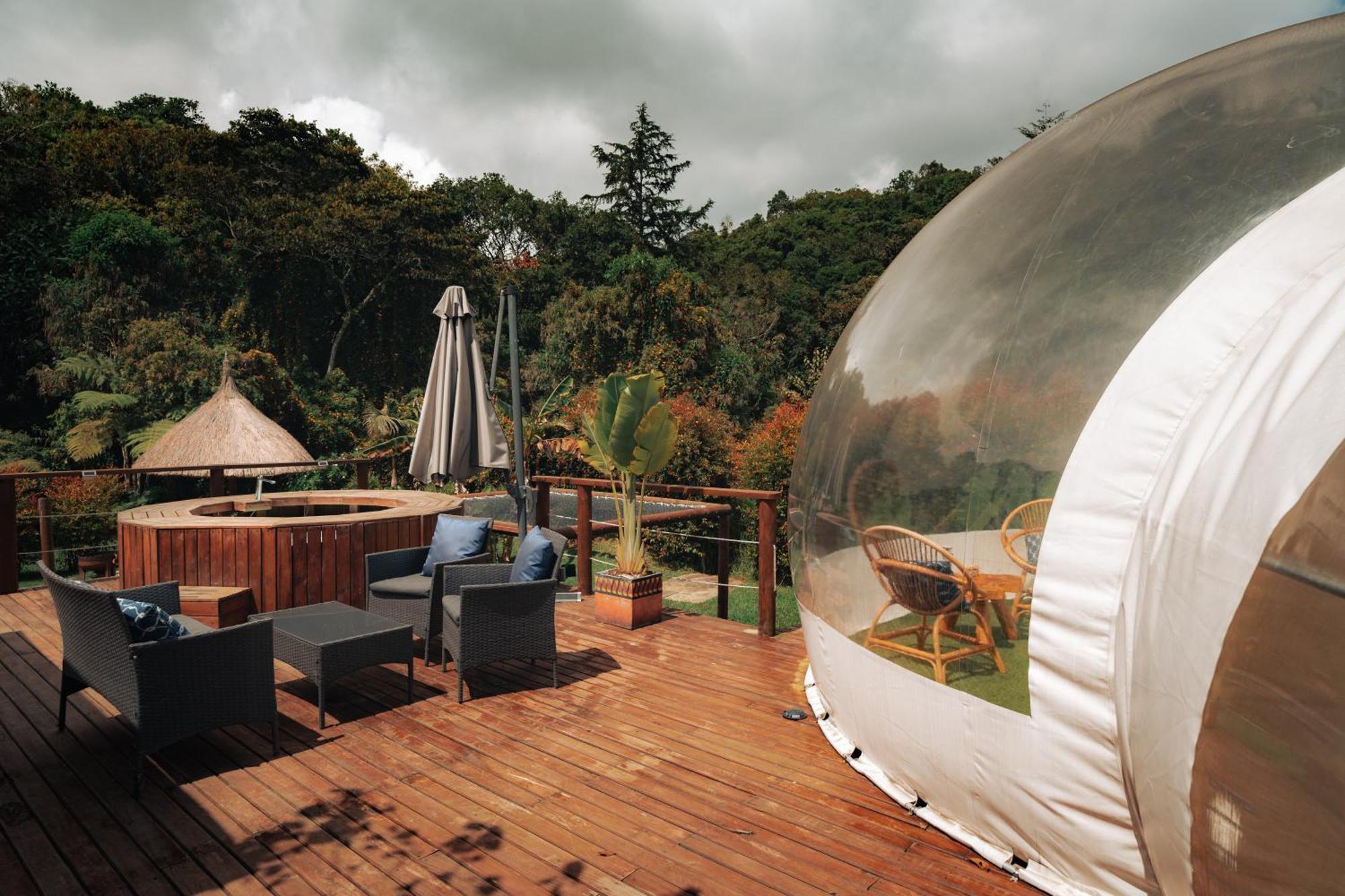 Отель Bubblesky Glamping 15 Min From Medellin Рионегро Экстерьер фото